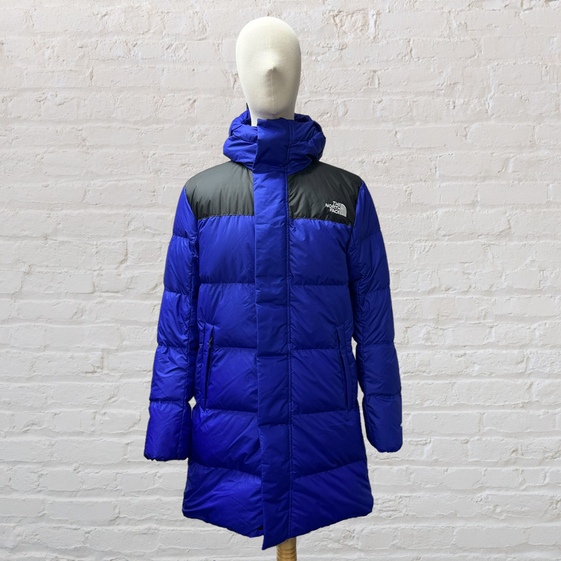 THE NORTH FACE NUPTSE HOODED PARKA
