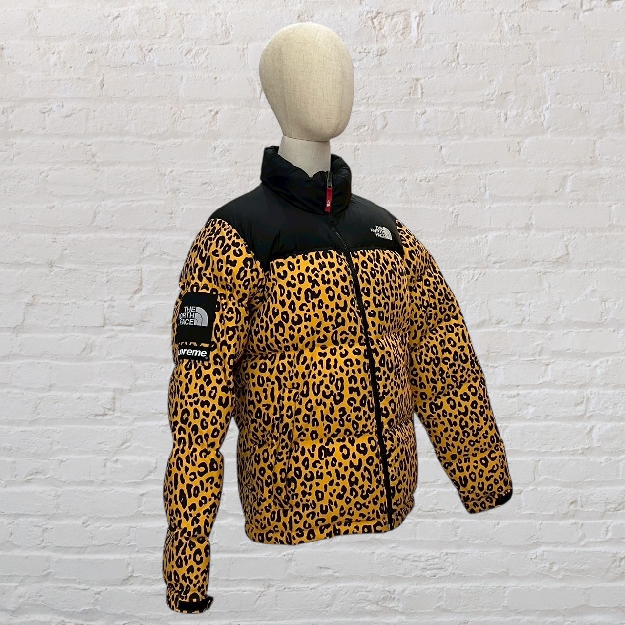 the north face x supreme